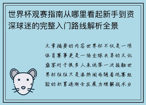 世界杯观赛指南从哪里看起新手到资深球迷的完整入门路线解析全景